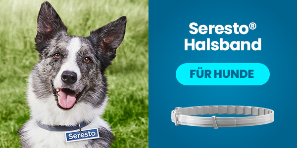 Optimaler Schutz – für Ihre treuen Gefährten.